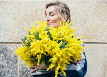 Mimosa: A Flor da Esperança e da Resistência na Cultura Italiana