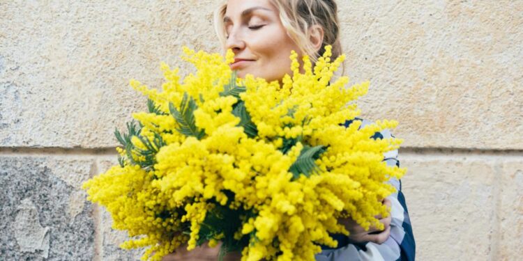 Mimosa: A Flor da Esperança e da Resistência na Cultura Italiana