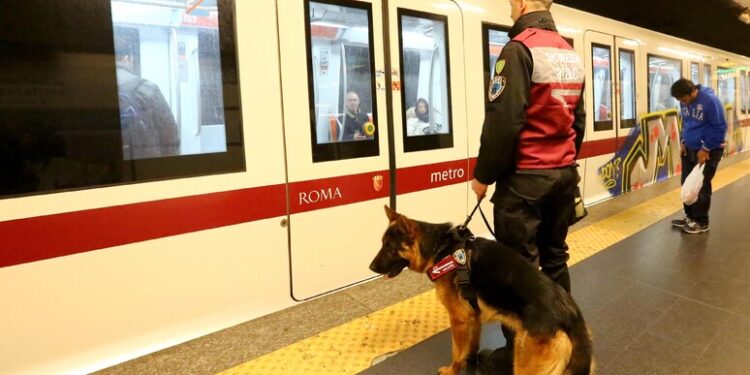 ItaloTreno: Como Viajar com Seu Pet