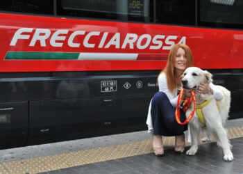 Viajando com seu Pet pela Trenitalia: Condições e Regras Importantes