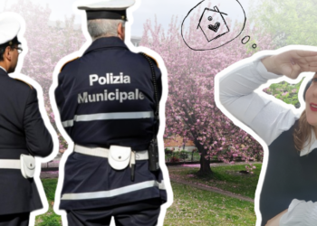 Manhã de Sábado com a Visita do Vigile: Como foi?