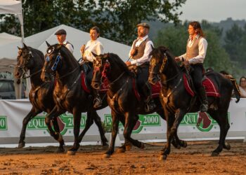 A Festa di San Savino