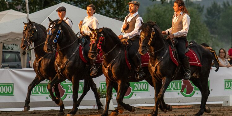 A Festa di San Savino