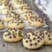 Receita Fácil de Biscotti Goccioline al Cioccolato