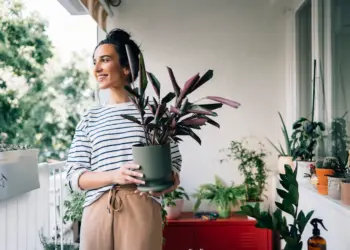 Como melhorar a Umidade da Casa na Itália durante o Verão