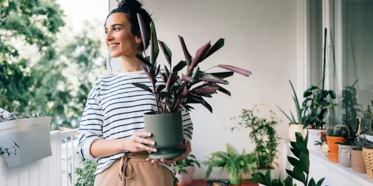 Como melhorar a Umidade da Casa na Itália durante o Verão