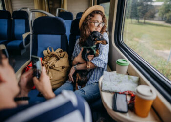 Como viajar com seu Pet de Trem na Itália