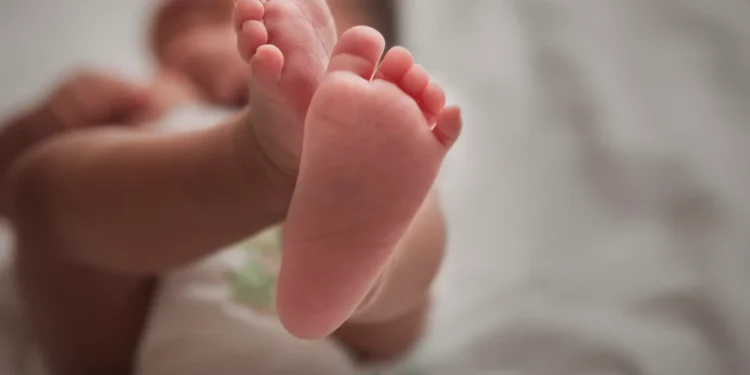 Colapso da Natalidade na Itália: Causas Econômicas e Estruturais