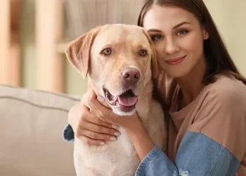 Legislação Italiana sobre Bem-Estar Animal: Conheça as Principais Leis para Pets