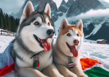 Todos os Cães Podem Brincar na Neve? O Que Você Precisa Saber!