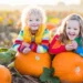Pumpkin Village em Treviso: O Encanto do Outono na Fazenda Nonno Andrea