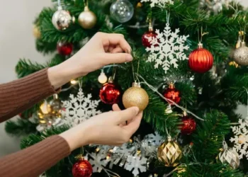 Quando os Italianos Montam a Árvore de Natal? Descubra as Tradições Regionais!