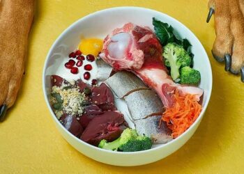 A Importância da Alimentação Natural na Dieta Canina