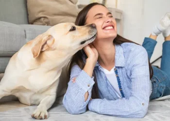 Bônus para Animais de Estimação 2025: Requisitos, Como Solicitá-lo e Obtê-lo