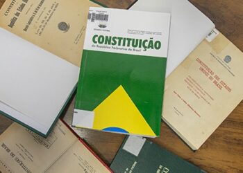 Art. 12 da CF/88: Naturalizado ou Nato? Entenda a Diferença e Suas Consequências Jurídicas