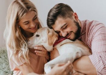 Imóveis na Itália: Como Conseguir Aluguel para Quem Tem Animais de Estimação