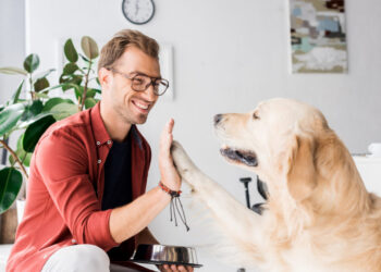 Vacinação Obrigatória de Cães e Gatos na Itália: O Que Você Precisa Saber