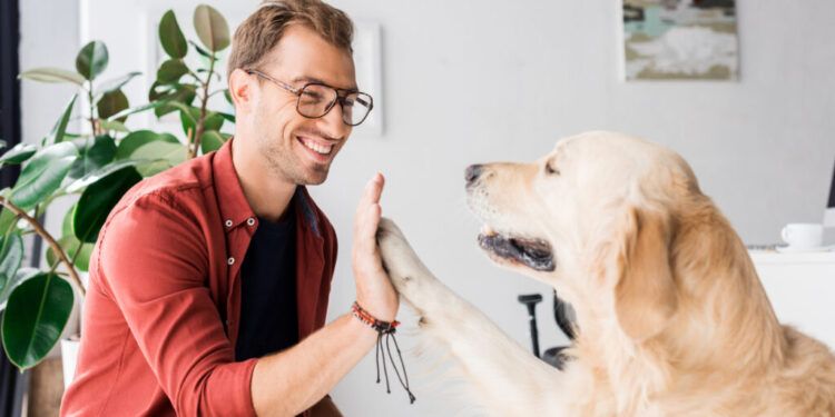 Vacinação Obrigatória de Cães e Gatos na Itália: O Que Você Precisa Saber