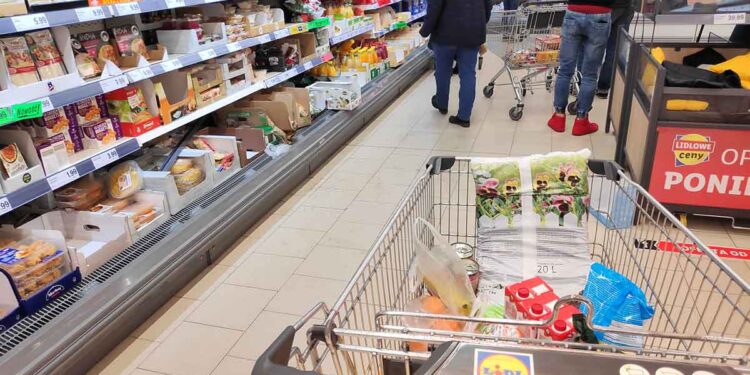 Supermercado LIDL: Promoções Imperdíveis de 19 a 25 de Junho!