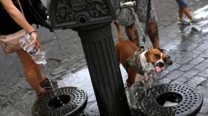É Seguro Deixar Seu Pet Beber das Fontes na Itália?