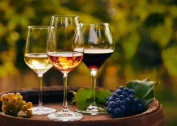 Barolo, Brunello e Chianti: Vinhos Que Você Precisa Conhecer