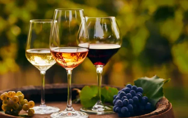 Barolo, Brunello e Chianti: Vinhos Que Você Precisa Conhecer