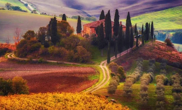 Toscana em setembro: Vinhedos, Vendemmia e Vilarejos Encantadores