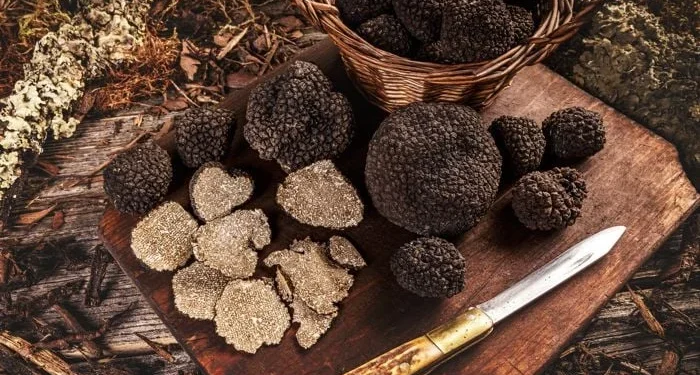 O que Comer em Setembro: Trufas, Cogumelos, Figos e Uvas