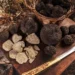 O que Comer em Setembro: Trufas, Cogumelos, Figos e Uvas