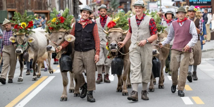 Transumança de Outono: Pastores, Rebanhos e Tradição
