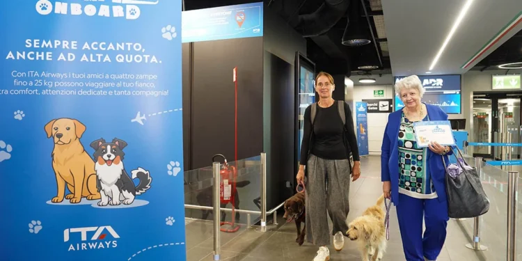 Cães de Grande Porte a Bordo: Honey e Moka Brilham em Voo Experimental na Cabine da ITA Airways