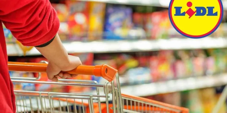 Promoções de Outubro no Lidl: Ofertas Imperdíveis Durante Todo o Mês