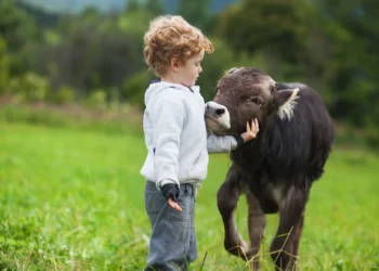 Trentino-Alto Ádige lança incentivo de até 1.100 euros para recém-nascidos