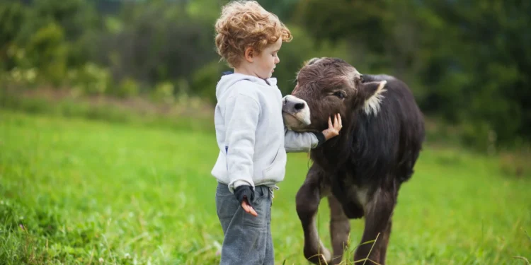 Trentino-Alto Ádige lança incentivo de até 1.100 euros para recém-nascidos