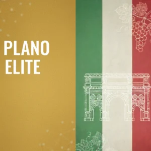 Plano Elite: Ideal para Empresas que desejam Máxima Visibilidade e Autoridade