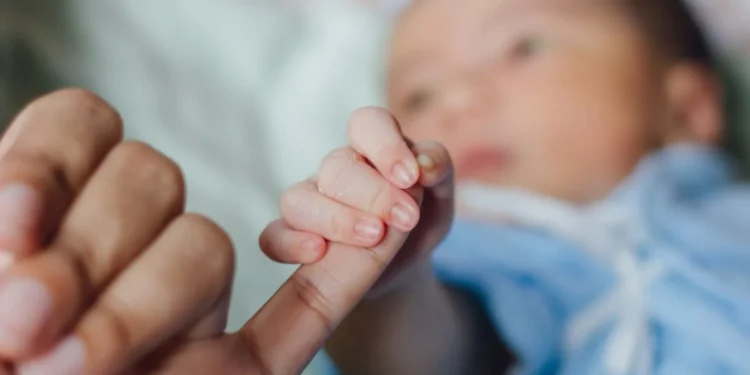 Natalidade em Queda: Criar um Filho Hoje na Itália custa Quase o Valor de um Imóvel em Milão ou Roma