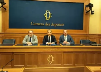 Tirelli, Merlo e Borghese apresentam proposta alternativa de reforma da cidadania na Câmara dos Deputados