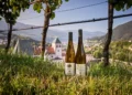 Abadia de Novacella: Espiritualidade, arte e vinhos no Tirol do Sul