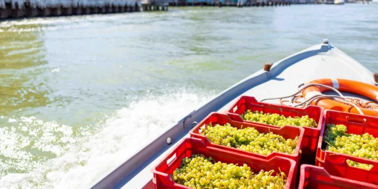 San Francesco della Vigna: Uma Experiência de Enoturismo e Patrimônio Veneziano