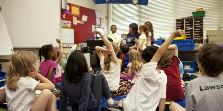 people sitting on blue carpet