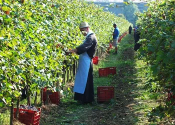 Abadia de Praglia: Um Mosteiro Histórico nos Montes Eugâneos