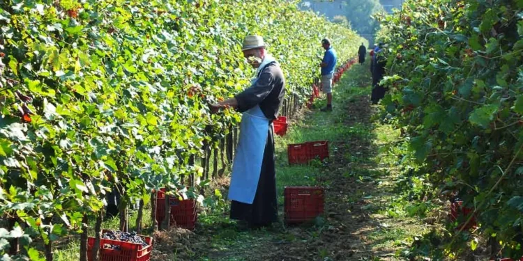 Abadia de Praglia: Um Mosteiro Histórico nos Montes Eugâneos