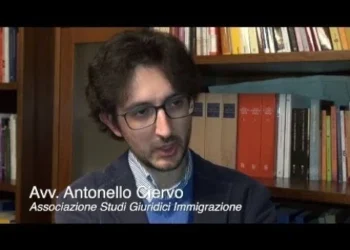 Professor de Direito Constitucional Critica Decreto Tajani no Conselho Nacional Forense